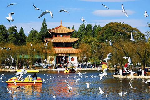 图片描述